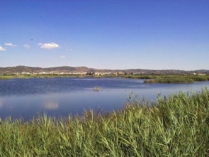 Foto2